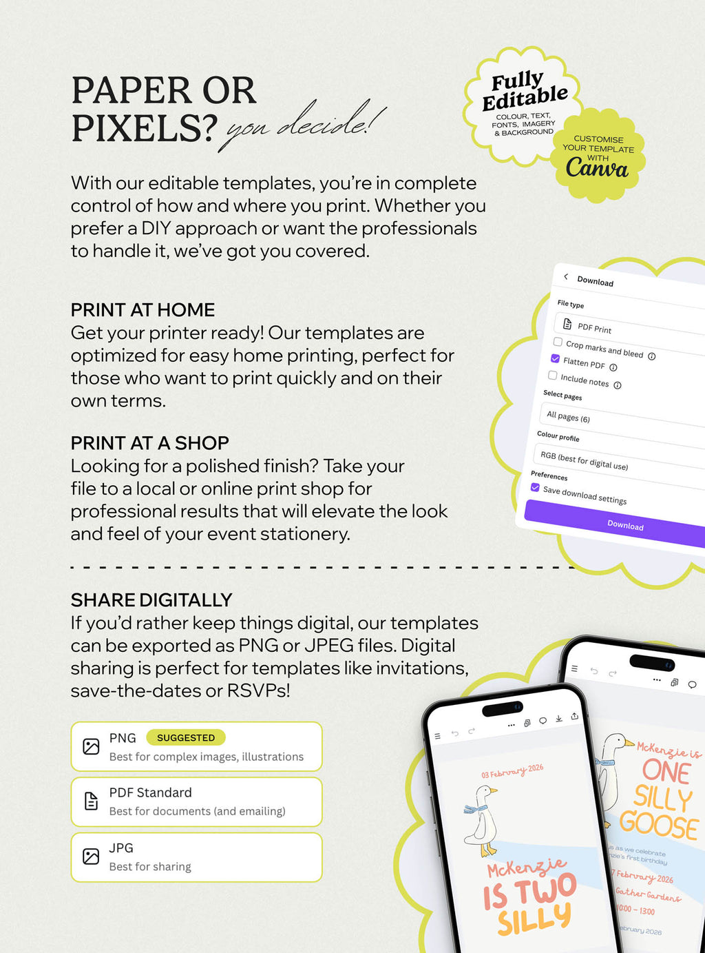 Silly Goose Kids Invite Set